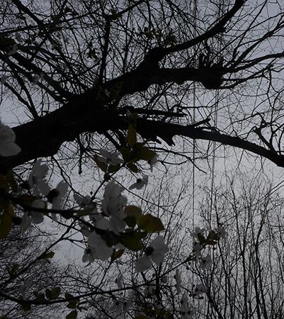 Vorösterliche Zeit. Foto: Birgitta Schwansee